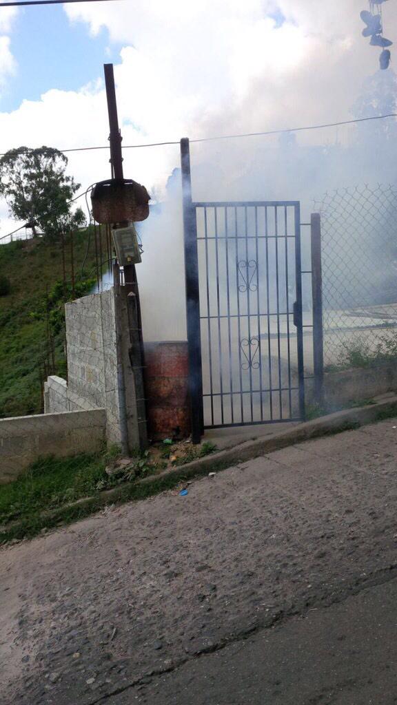 1F Ramo verde