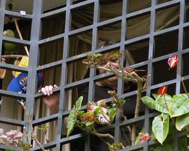 Proyecto maduro-4602