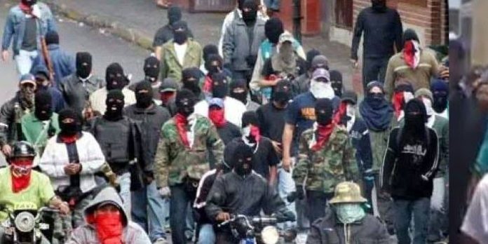 colectivos-1-700x350
