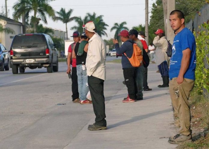 immigrants1 labor lnew cmg (1)